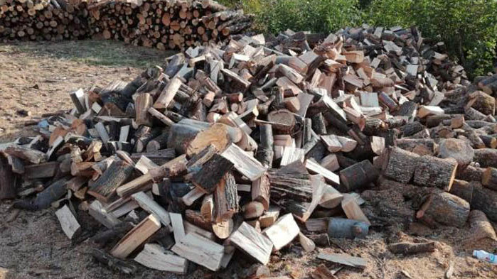 Повече от 230 проверки за седмица на територията на РДГ-София